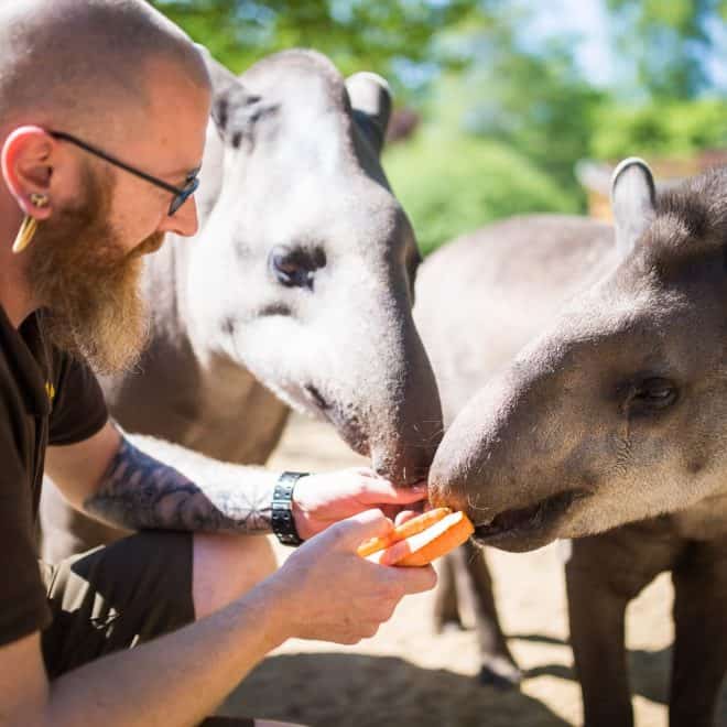 Ausflugstipps für Familien - Zoologischer Garten Schwerin