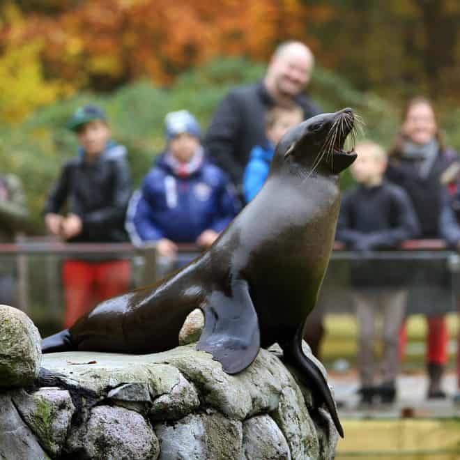 Ausflugstipps für Familien - Zoo Rostock