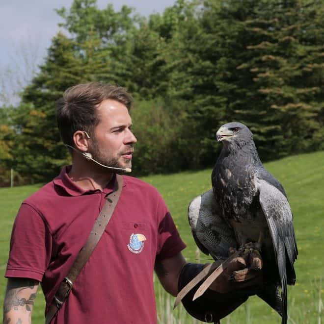 Ausflugstipps für Familien - Vogelpark Marlow