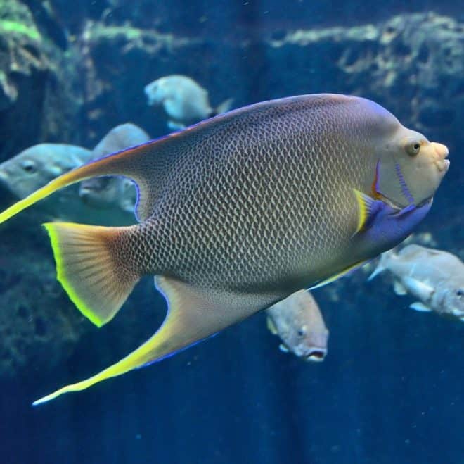 Ausflugstipps für Familien - Ozeaneum Stralsund