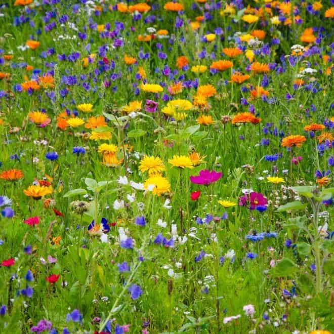 Ausflugstipps für Familien - Naturparkzentrum Sternberger Seenland