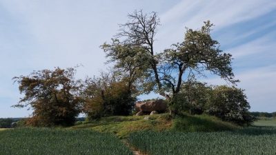 Großsteingräber - Großdolmen Gaarzer Hof Ostseebad Rerik