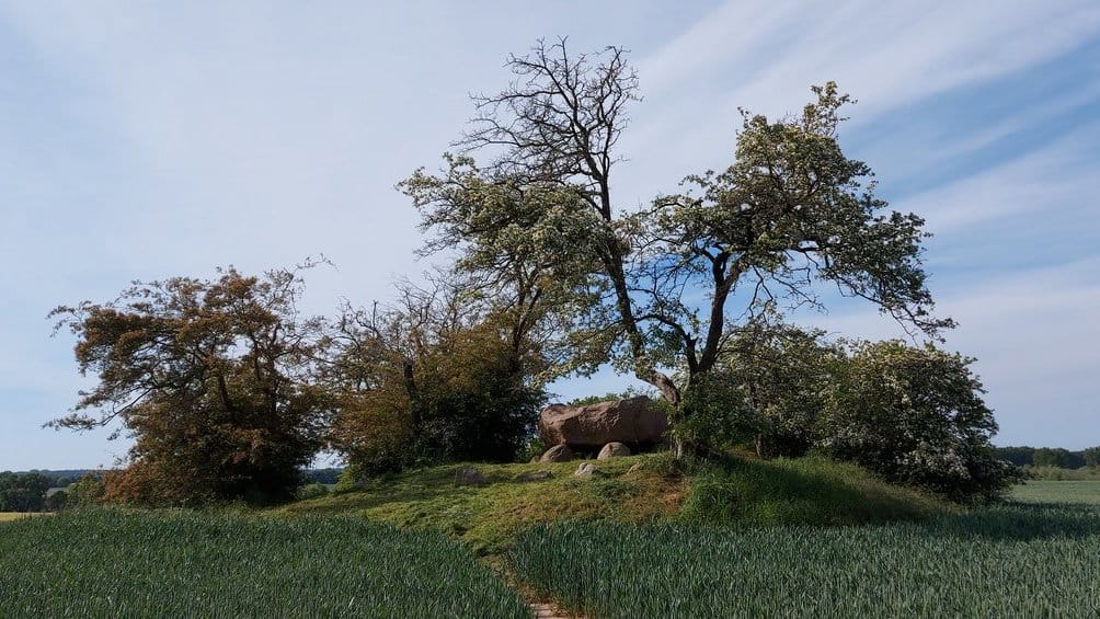 Großsteingräber - Großdolmen Gaarzer Hof Ostseebad Rerik